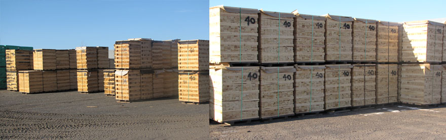 coupe de bois main
